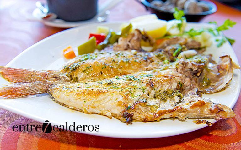 Sama a la espalda, Caprichos de La Gomera./ Manuel Expósito