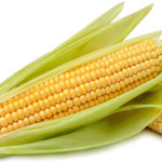 El millo (maíz), una historia de miles de años