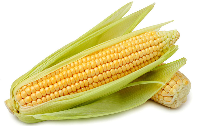 El millo o maíz