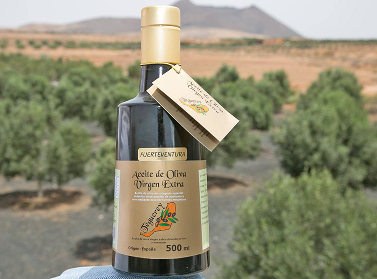 Teguerey, de Fuerteventura, mejor aceite de oliva virgen extra de Canarias