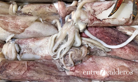 Los pescados de Canarias: calamar sahariano