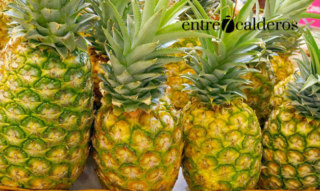 La piña, diurética y llena de beneficios