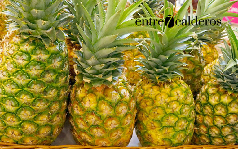 Piña tropical./ ©MAEX