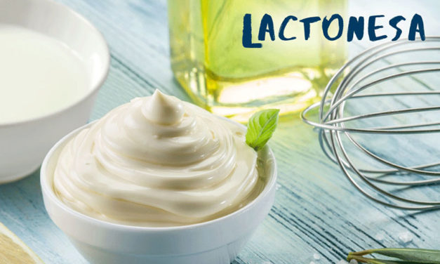 Lactonesa, la mayonesa sin huevo