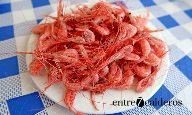 Bahía Los Abrigos, un lugar para saborear la comida