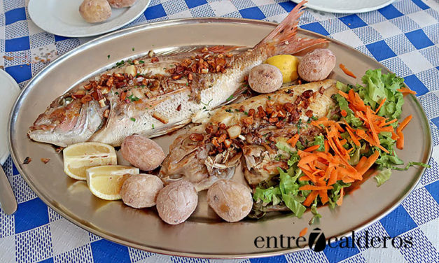 Bahía Los Abrigos, un lugar para saborear la comida