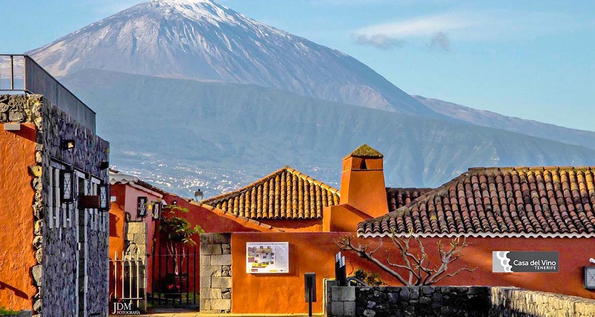 El Cabildo de Tenerife reactiva la Mesa Insular del Vino