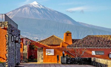 El Cabildo de Tenerife reactiva la Mesa Insular del Vino