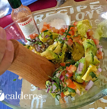 Guacamole. | Foto: © Manuel Expósito.