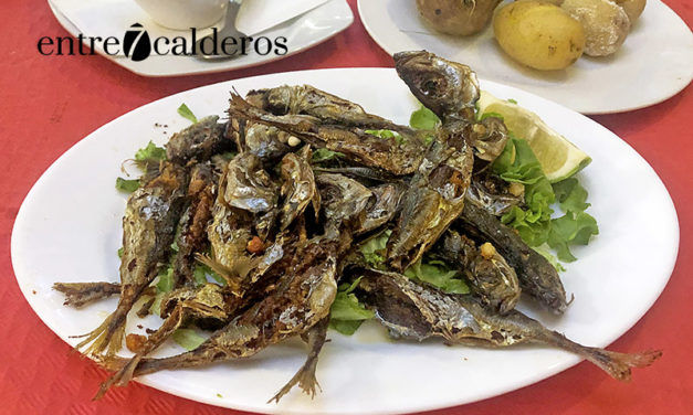 Tasca La Reciclada: exquisita comida en un ambiente sorprendente