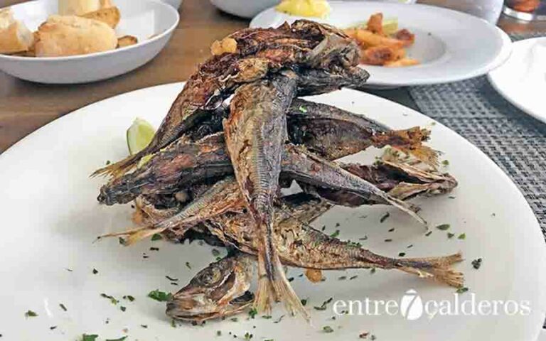 El chicharro, una joya no valorada