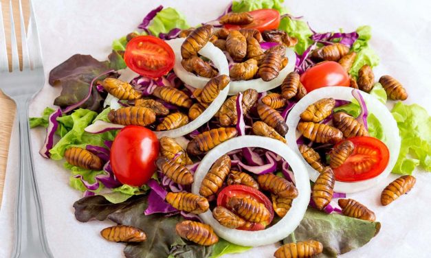 Insectos comestibles en el supermercado