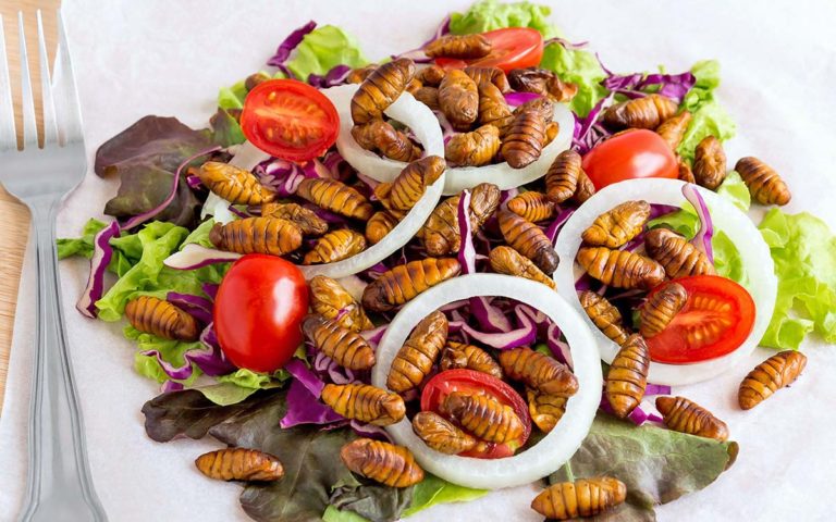 Insectos comestibles en el supermercado