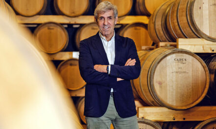 Cepa 21: la revolución de los vinos de la Ribera del Duero