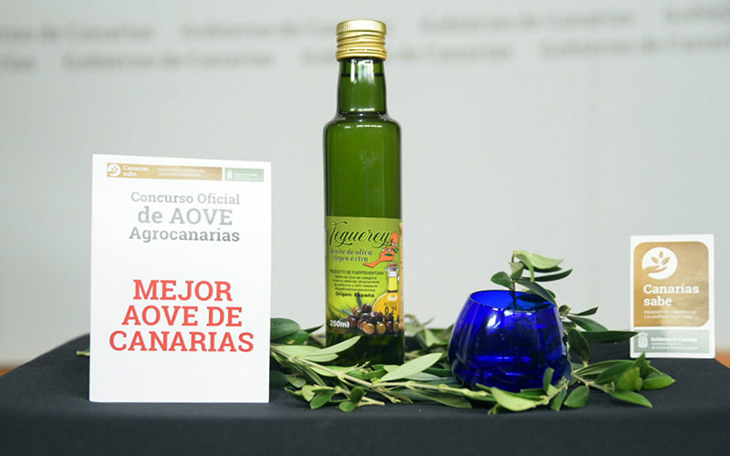 Teguerey, de Fuerteventura, el mejor aceite de oliva virgen extra de Canarias en 2023