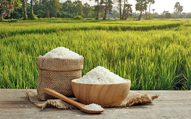 ¿Arsénico en los alimentos?