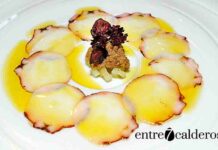 El pulpo, emperador de los mares Pulpo, Rte. El Algibe. | Foto: © Manuel Expósito. | entre7calderos.com