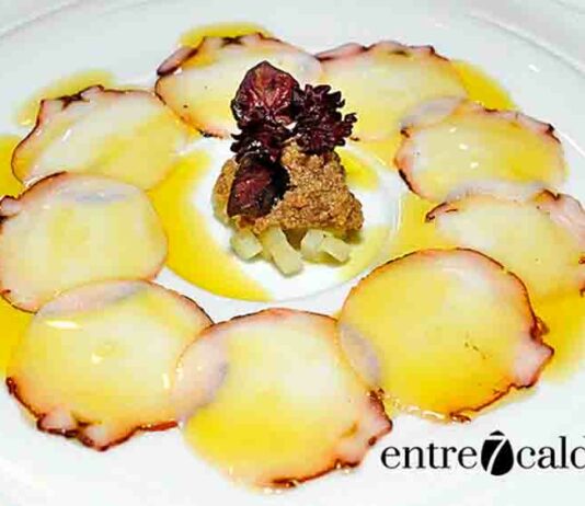 El pulpo, emperador de los mares Pulpo, Rte. El Algibe. | Foto: © Manuel Expósito. | entre7calderos.com