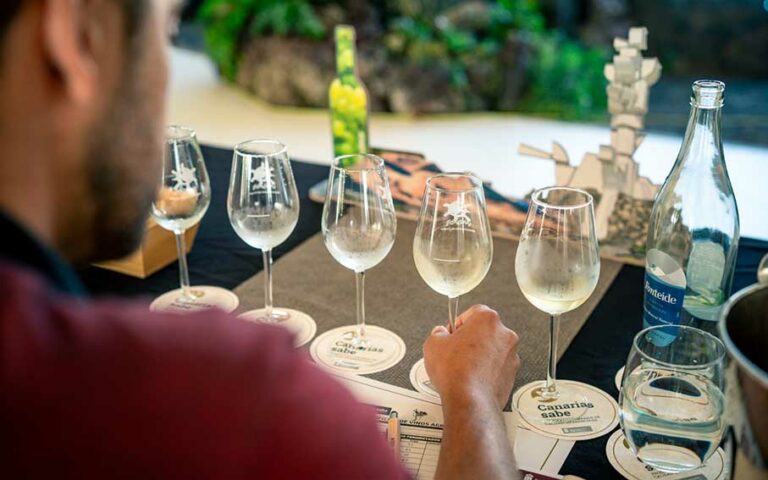 Abierta la convocatoria del Concurso Oficial de Vinos Agrocanarias 2025