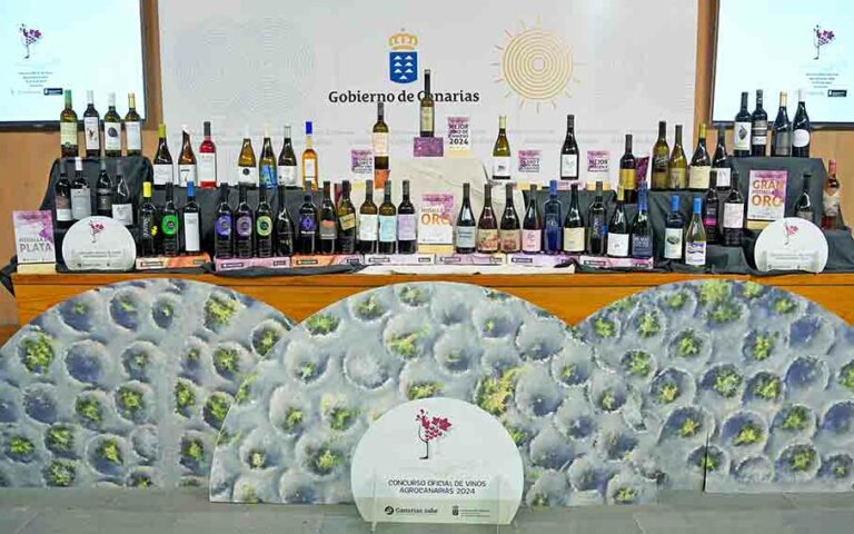 Brumas de Ayosa Malvasía Aromática, de la DOP Valle de Güímar, Mejor Vino de Canarias 2024