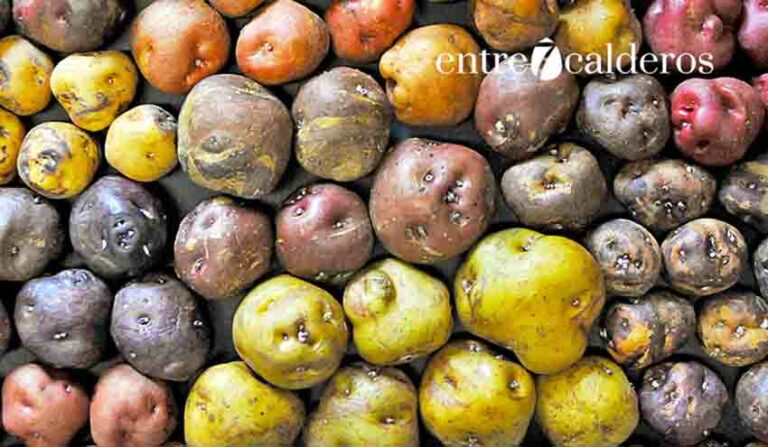 Papa o patata, algo de su historia