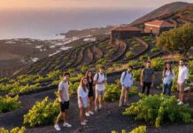El Hierro será sede del XI Encuentro Internacional de Agroenoturismo de Canarias en abril de 2026