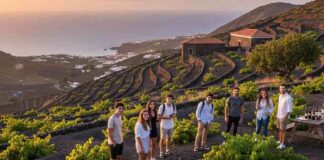 El Hierro será sede del XI Encuentro Internacional de Agroenoturismo de Canarias en abril de 2026