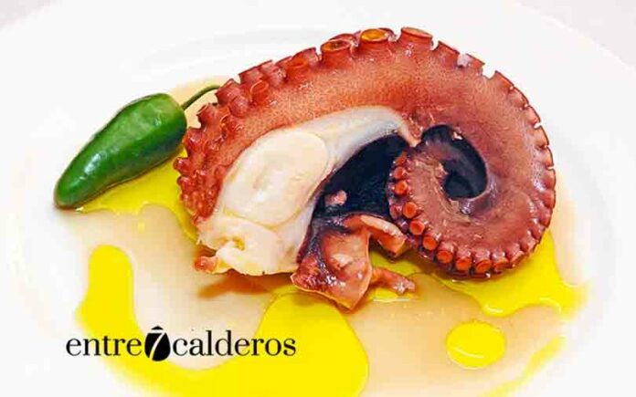 Foto: © Manuel Expósito.